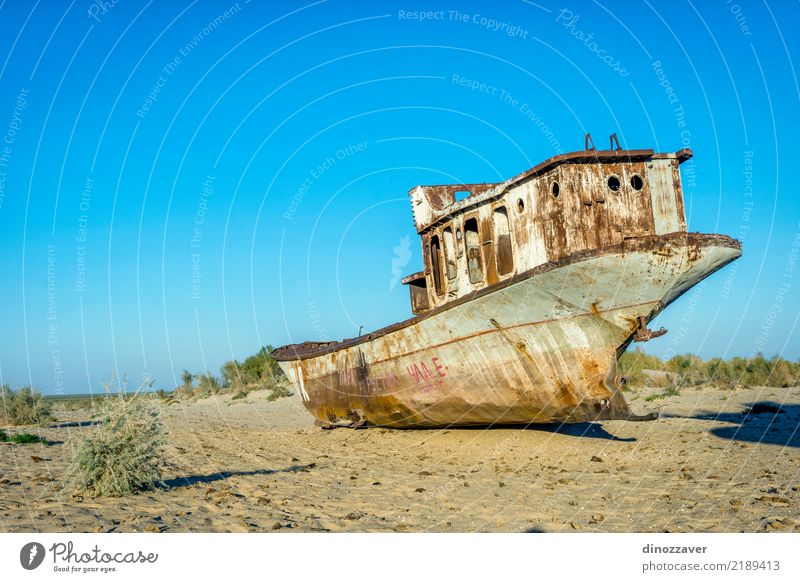 Rusted vessel in the ship cemetery, Uzbekistan Ocean Group Environment Nature Landscape Sand Climate Climate change Lake Ruin Watercraft Dead animal Death