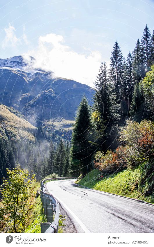 ambiguities | passport control Vacation & Travel Far-off places Freedom Mountain Landscape Sky Beautiful weather Rock Alps Snowcapped peak Mountain forest