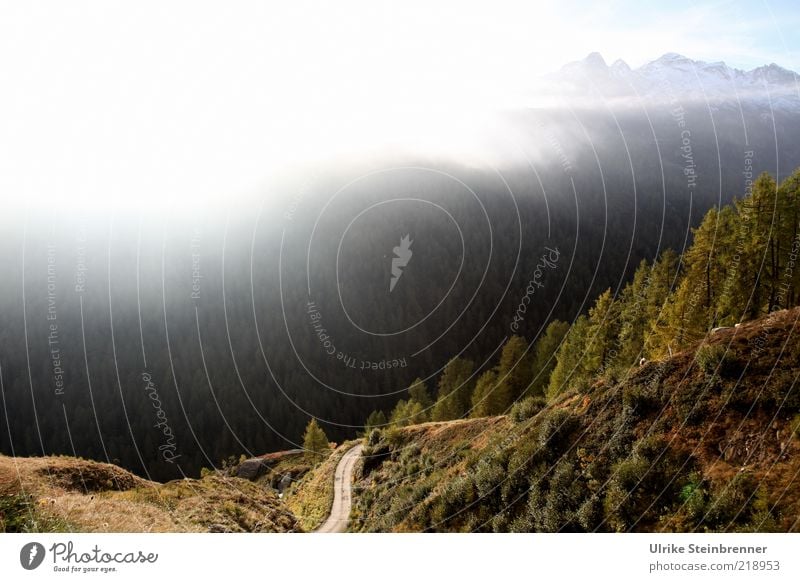 View from the Timmelsjoch to South Tyrol into the Passeier valley at early morning fog Fog High fog Mountain Alps Slope Valley yoke of heaven Italy Haze