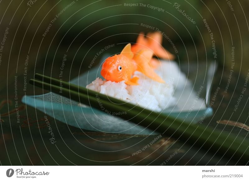 Sushi for lunch Nutrition Lunch Finger food Fish Chopstick Asia False Rice Orange Glass bowl Dark green Colour photo Interior shot Blur Artificial