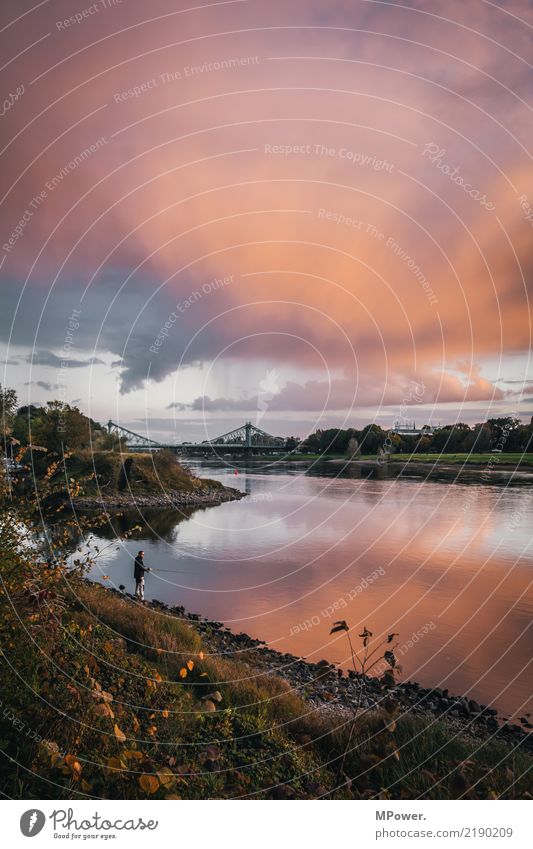 angler hotspot Environment Sky Beautiful weather Gale Bridge Adventure Dusk Angler Fishing (Angle) Elbe Cloud formation River bank Autumn Reflection Water