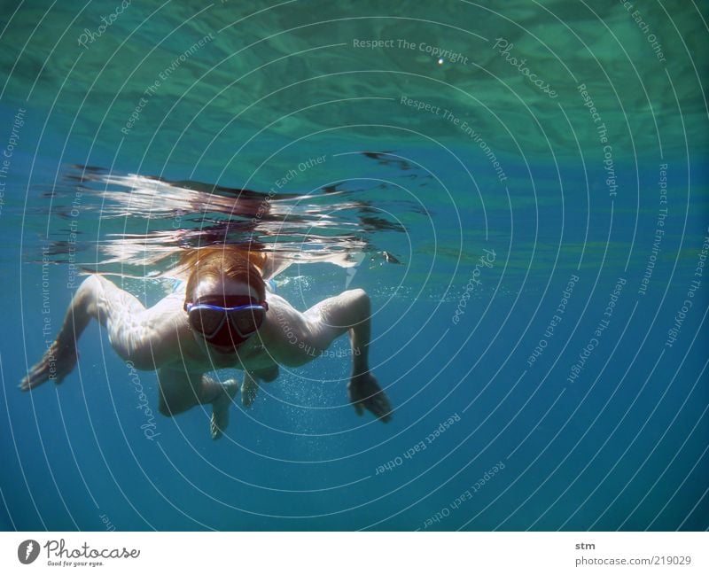 Underwater shot of a swimming man Vacation & Travel Freedom Summer Summer vacation Sun Beach Ocean Island Waves Sports Fitness Sports Training Sportsperson Dive