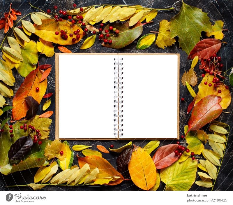 Autumn leaves and notebook on a dark background Craft (trade) Leaf Forest Paper Dark Bright Brown Yellow Green Red Colour border Botany branch colorful