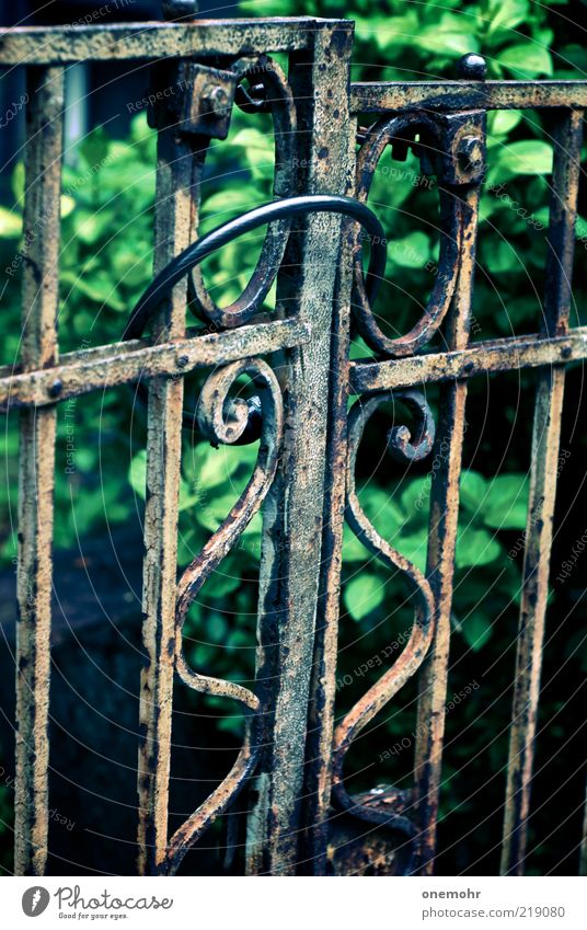 garden gate Living or residing Garden Summer Park Garden door Gate Metal Steel Rust Old Dark Historic Brown Green Decline Past Transience Change Time