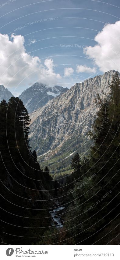 Caspar David ... | Antholz [11] Sky Clouds Summer Beautiful weather Tree Spruce forest Rock Alps Mountain Antholzer valley South Tyrol Canyon Brook Riverbed