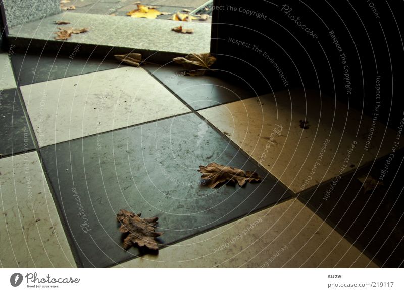 Welcome to the House (Residential Structure) Leaf Door Gloomy Dry Black White Entrance Hallway Autumn leaves Tile Checkered Way out Early fall November mood