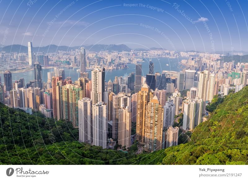 Hong Kong building city with day time Beautiful Vacation & Travel Tourism Ocean Mountain Office Economy Financial Industry Business Landscape Sky Tree Forest