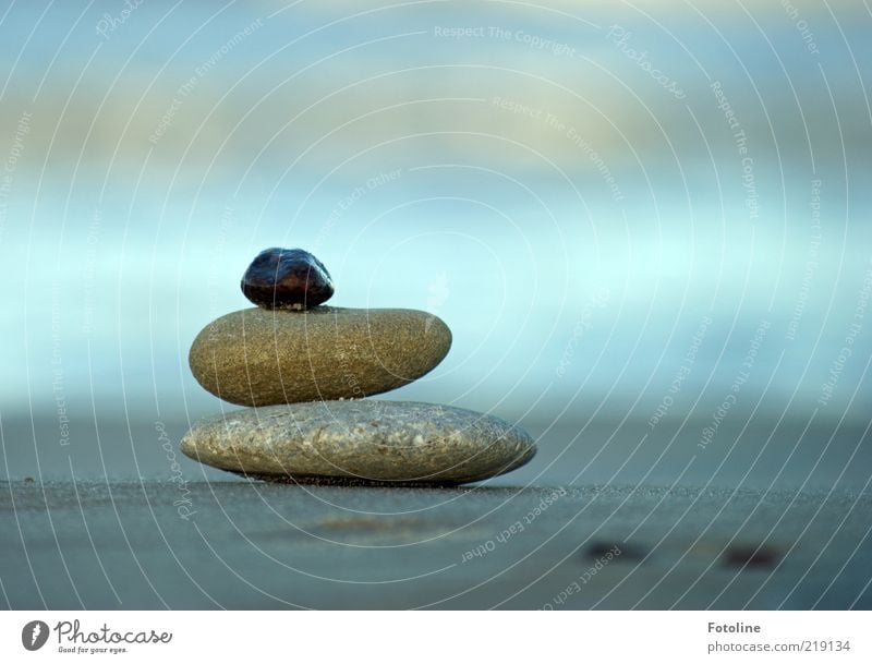 collected works Elements Beach Bright Wet Natural Blue Gray Stone Comforting Colour photo Multicoloured Exterior shot Close-up Copy Space left Copy Space right