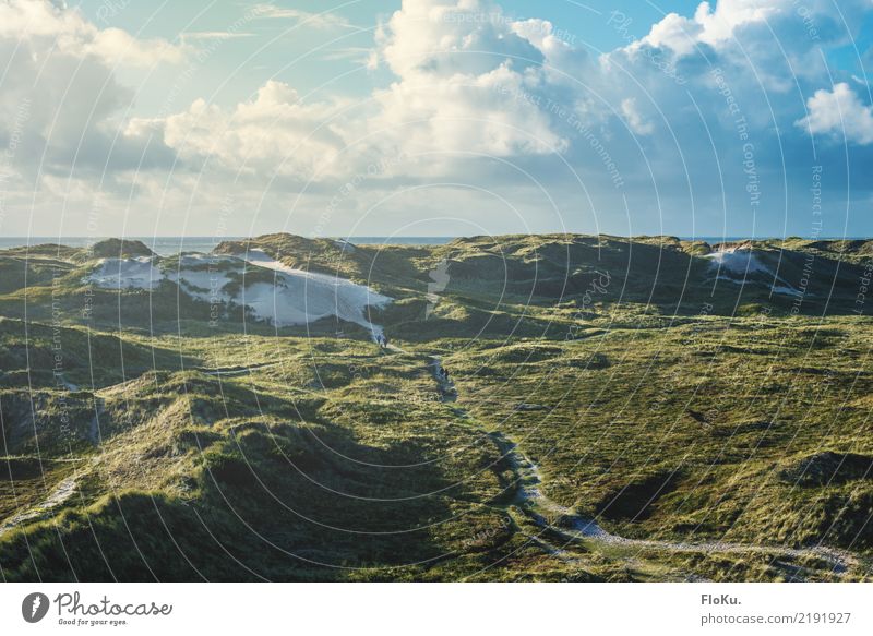 Dunes in Denmark Vacation & Travel Tourism Far-off places Beach Environment Nature Landscape Elements Sand Water Sky Clouds Horizon Sun Sunlight Summer Autumn