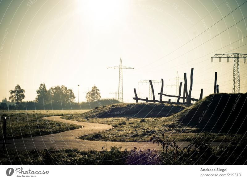 8:36 a.m. Energy industry High voltage power line Electricity pylon Environment Landscape Cloudless sky Sun Sunlight Autumn Tree Bushes Foliage plant Meadow