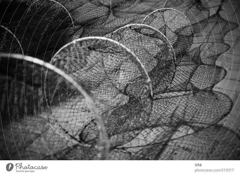 Network Harbour Dangerous Black & white photo Exterior shot Contrast Shallow depth of field Empty Long Round Fishery Fishing net Deserted Detail Shadow