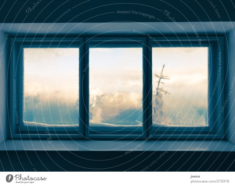 mountain hut Nature Winter Ice Frost Snow Tree Alps Mountain Window Calm View from a window Colour photo Subdued colour Interior shot Deserted Day Wide angle