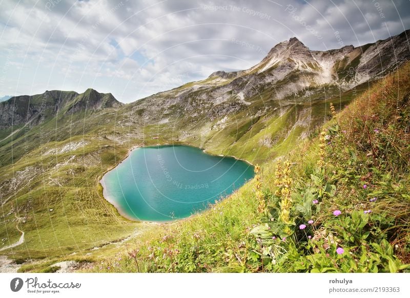 turquoise alpine lake on sunny day in Allgaeu Alps Vacation & Travel Adventure Mountain Hiking Landscape Sky Clouds Beautiful weather Flower Grass Blossom