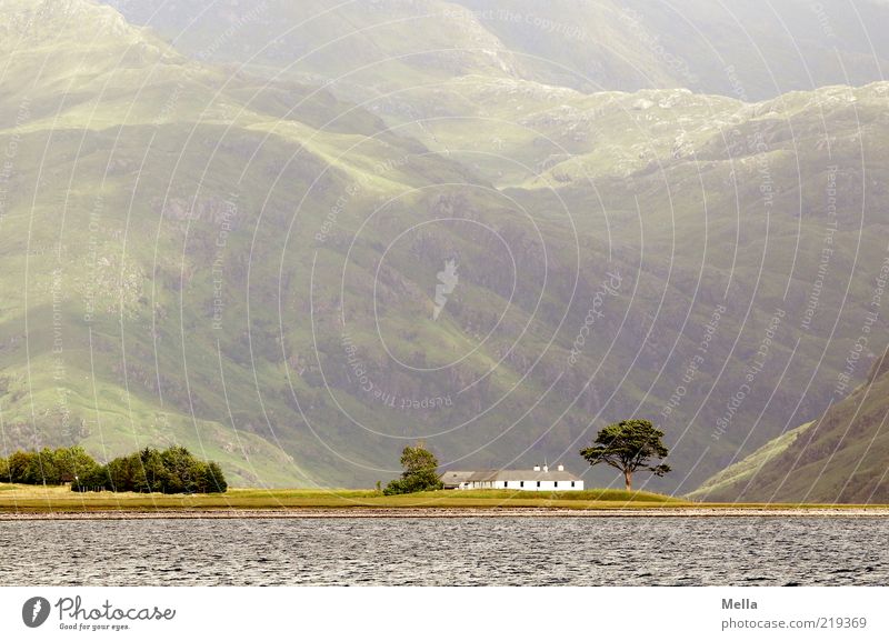 out Environment Nature Landscape Tree Hill Mountain Coast Bay Fjord House (Residential Structure) Large Small Moody Longing Homesickness Wanderlust Loneliness