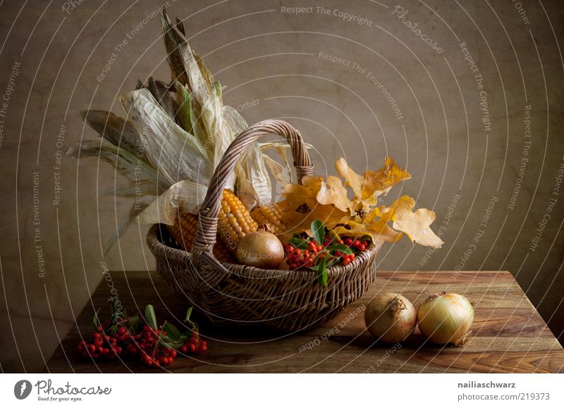 Autumn Still Life Food Vegetable Grain Maize Corn cob Berries Onion Nutrition Organic produce Vegetarian diet Nature Leaf Maple leaf Basket Wicker basket