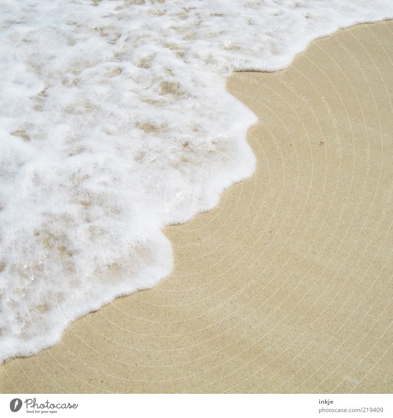 Sea foam at 30°C Summer Beach Ocean Waves Sand Water Beautiful weather Atlantic Ocean Foam Moody Contentment Idyll Copy Space White crest Sea water Surf