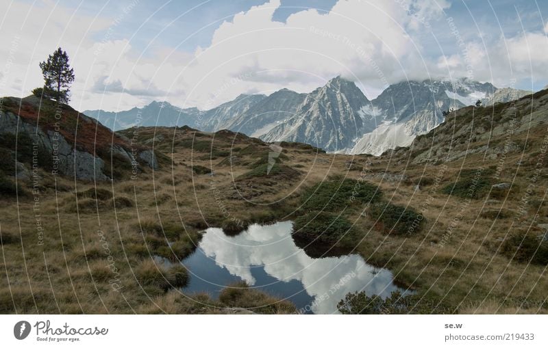 Lonely. | Antholz [12] Elements Clouds Tree Grass Bushes Hill Rock Alps Mountain Antholzer valley South Tyrol Pond giant farmer Alpine pasture Peak Infinity