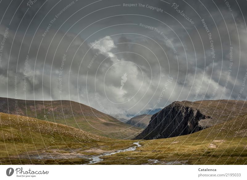 Close to the clouds, high moor landscape with storm clouds Mountain Hiking Nature Landscape Water Storm clouds Summer Bad weather Rain Grass Bog Marsh Brook