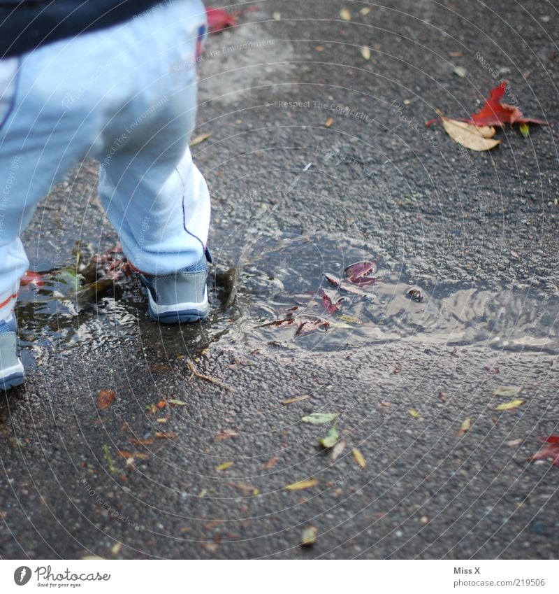 autumn fun Human being Child Toddler Infancy 1 1 - 3 years Cold Wet Joy Water Puddle Inject Hop Dirty Muding Playing Lanes & trails Drops of water Colour photo