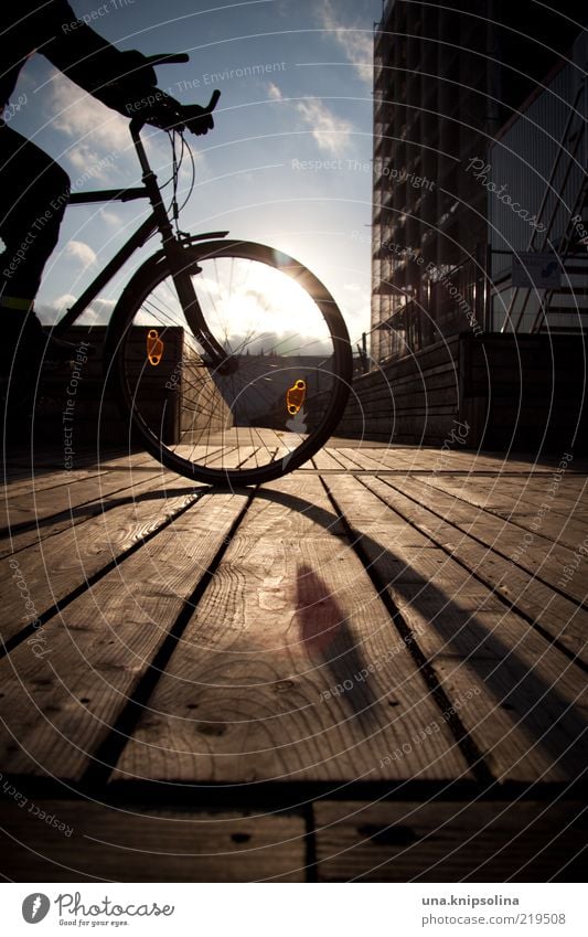 oh sunny sunny day Cycling 1 Human being Driving Bicycle Cycle path Footbridge Central perspective In transit Colour photo Exterior shot Day Silhouette Sunlight