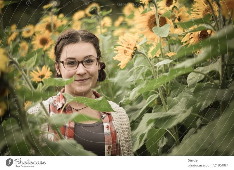 Sunflower2 Human being Feminine Girl Young woman Youth (Young adults) Body 1 13 - 18 years Nature Landscape Plant Flower Field Brunette Braids Friendliness