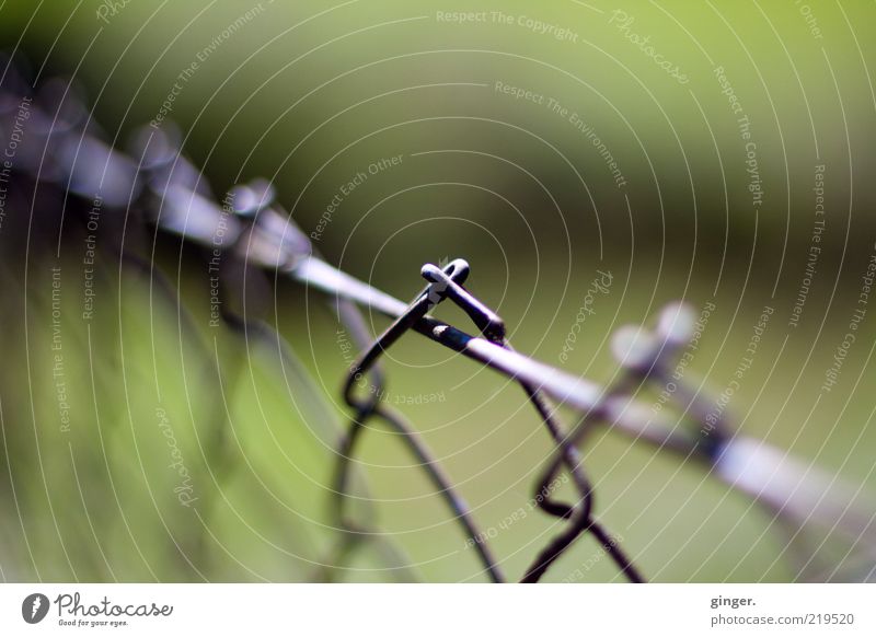 wire mesh fence Deserted Gray Green Wire netting Fence Boundary Metal Wire netting fence Copy Space top Copy Space bottom Copy Space left Copy Space right Loop