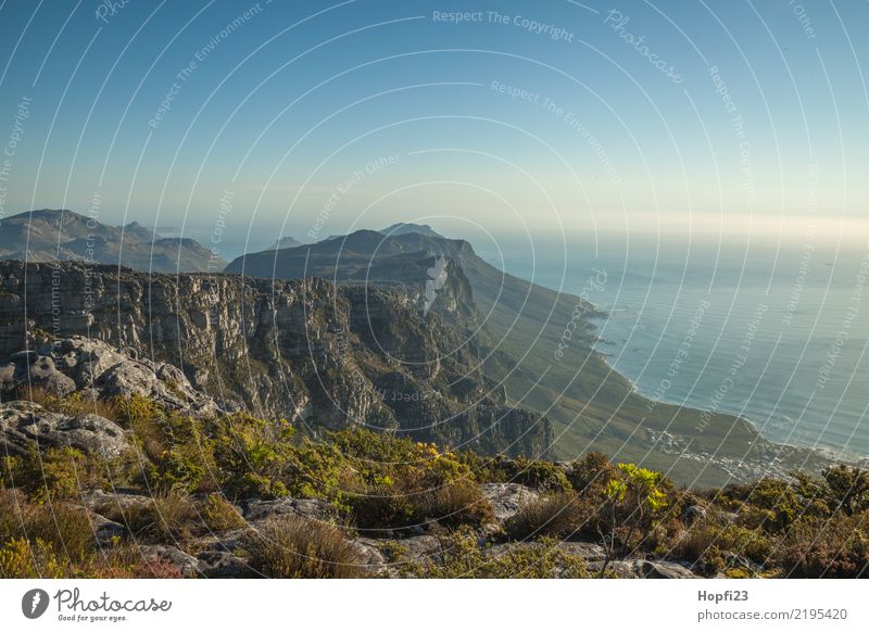 View from Table Mountain Nature Landscape Plant Earth Water Sky Cloudless sky Sunlight Autumn Climate Weather Beautiful weather Warmth Grass Bushes Moss Rock