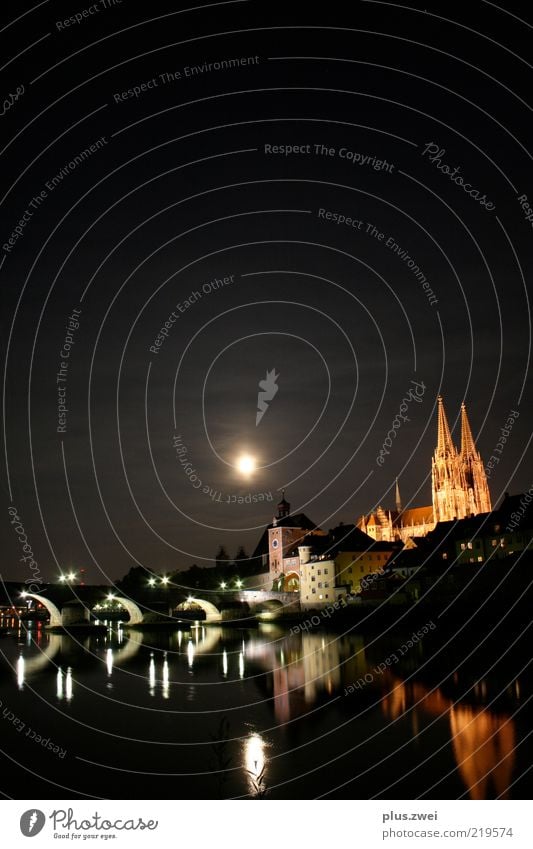 silent night... Town Old town Dome Bridge Tourist Attraction Landmark Emotions Moody Uniqueness Regensburg Danube Night Moonlight Colour photo Exterior shot