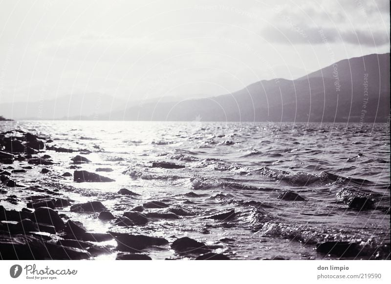 lough corrib Far-off places Sun Island Waves Landscape Weather Beautiful weather Lakeside Lough Corrib Large Idyll Environment Analog Black & white photo