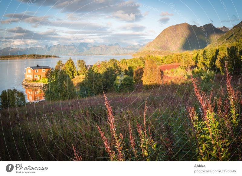 Wooden house in Abendidylle, Scandinavia, Lofoten, Willowherb Calm Vacation & Travel Summer vacation Environment Nature Landscape Horizon Sunrise Sunset