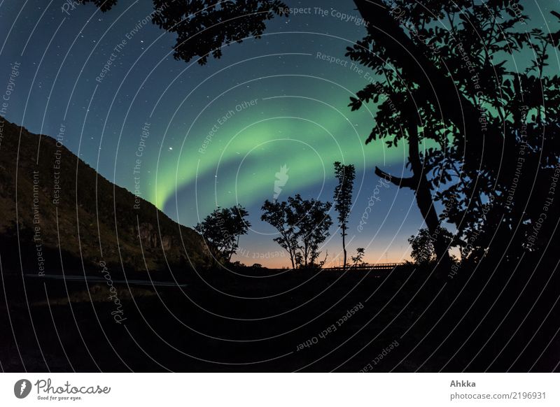 Night sky, aurora borealis, sunset, Scandinavia Adventure Nature Sky Horizon Aurora Borealis Tree Lofotes Illuminate Exceptional Dark Fantastic Gigantic