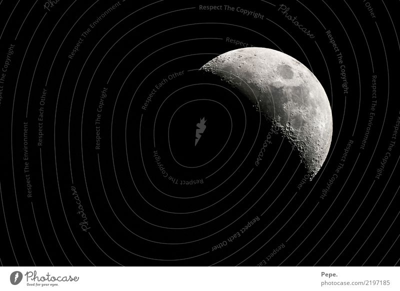 moon Nature Sky Moon Sleep Contentment Wisdom Smart Half moon Horizon Colour photo Night Light Shadow