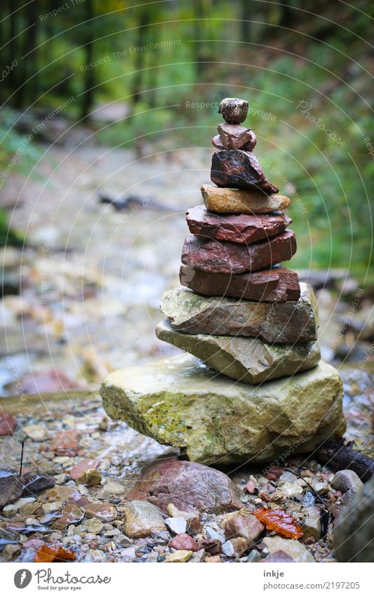 Stone tower in the Harz Mountains Environment Nature Landscape Spring Summer Autumn Forest River bank Brook stone tower Towering Stack Stand Tall Contentment