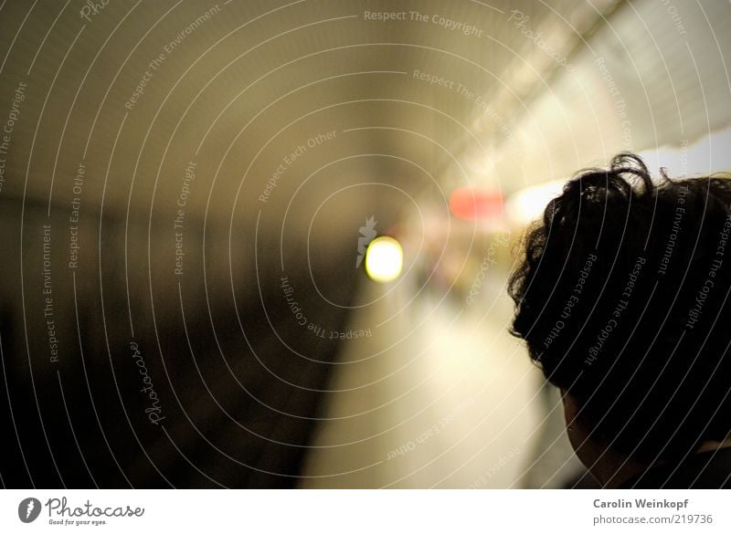 Lights. Traveling Far-off places Head Hair and hairstyles USA Train station Tunnel Means of transport Traffic infrastructure Rail transport Train travel