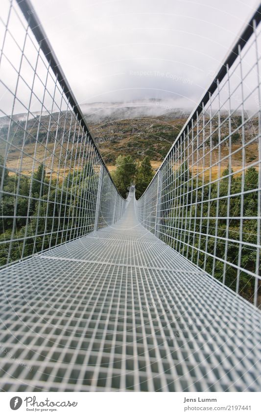 A bridge is a bridge Vacation & Travel Tourism Trip Mountain Hiking Autumn Weather Bad weather Alps Deserted Bridge Brown Yellow Gray Green White