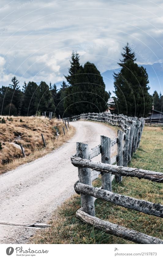 footpath Calm Leisure and hobbies Hiking Vacation & Travel Tourism Mountain Nature Landscape Sky Forest Fence Relaxation Old Wanderlust Colour photo