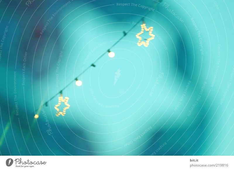 A STAR IS BORN... Feasts & Celebrations Cable Air Sky Winter Sign Kitsch Trashy Blue Anticipation Tradition Star (Symbol) Fairy lights Christmas Fair