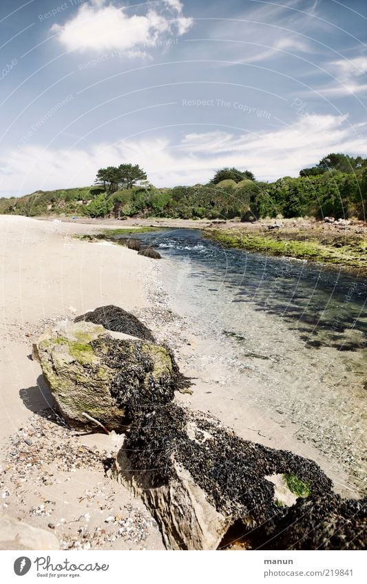 But-River Far-off places Summer Nature Landscape Elements Earth Sand Water Tree Rock River bank Reef Fantastic Wild Wanderlust Uniqueness Idyll Perspective