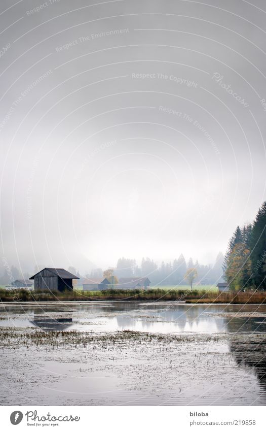 house on the lake Water Clouds Autumn Fog Esthetic Glittering Gray Green Emotions Hope Grief Longing Loneliness steering Lake Nature reserve Switzerland