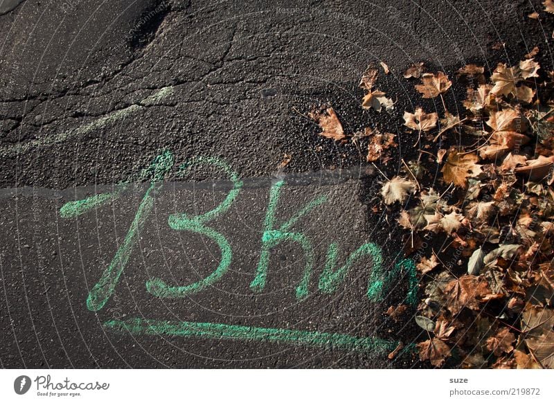 Not far Environment Nature Autumn Leaf Street Lanes & trails Digits and numbers Old Authentic Dirty Gray Autumn leaves Autumnal Seasons Floor covering Pavement