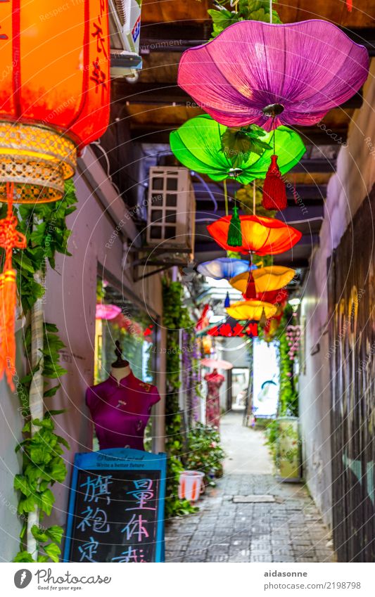 Xitang China Asia Town Old town Deserted House (Residential Structure) Building Dream Vacation & Travel Sunshade Lamp Lantern Colour photo Multicoloured