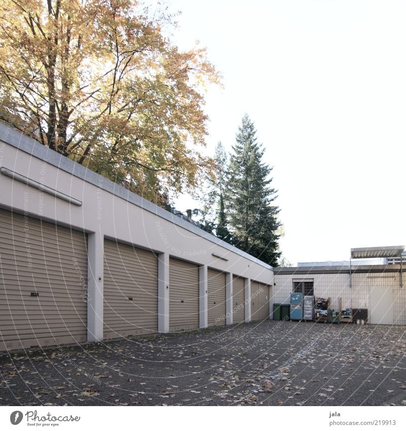 backyard Sky Tree Manmade structures Building Garage door Gloomy Leaf Trash container Courtyard Places Colour photo Subdued colour Exterior shot Deserted