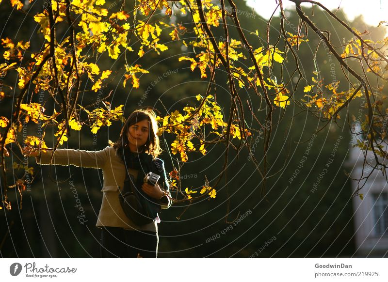 exhausted III Human being Feminine Young woman Youth (Young adults) Woman Adults 1 Environment Nature Weather Beautiful weather Park Emotions Moody Free Autumn