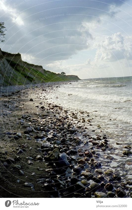 stony beach Beach Ocean Light Stone