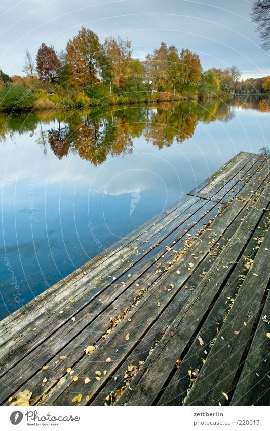 canal Leisure and hobbies Far-off places Freedom Nature Landscape Water Autumn Park River bank Romance Longing Homesickness Wanderlust Loneliness Brandenburg