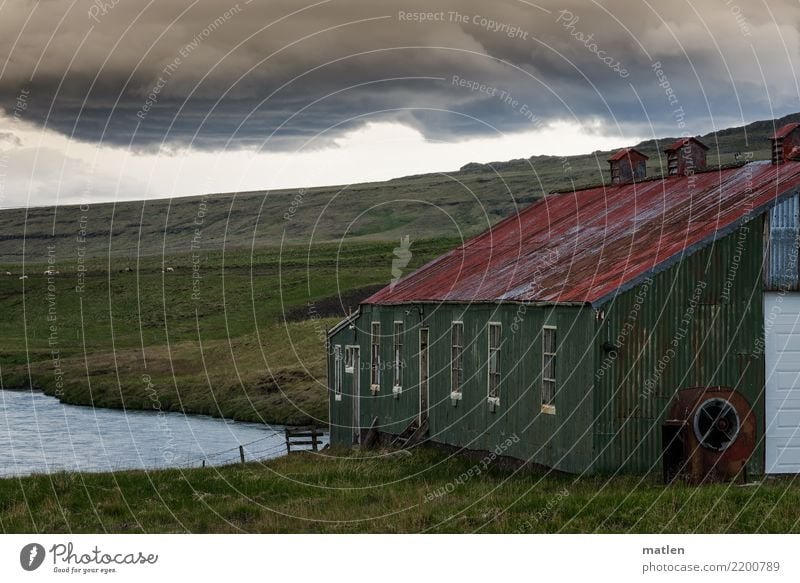 Cover Nature Landscape Plant Sky Clouds Spring Beautiful weather Grass Hill Mountain Coast Fjord Deserted House (Residential Structure) Window Blue Gray Green