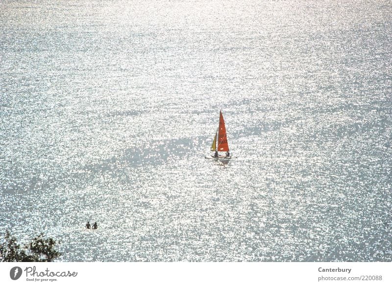 silver bridge Swimming & Bathing Vacation & Travel Water Sunlight Summer Beautiful weather Lake Lake Balaton Sailboat Glittering Bright Silver Moody