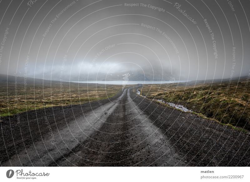 close to heaven Nature Landscape Sky Clouds Spring Bad weather Wind Rain Grass Rock Mountain Coast Fjord Dark Gloomy Deep Traffic infrastructure Iceland