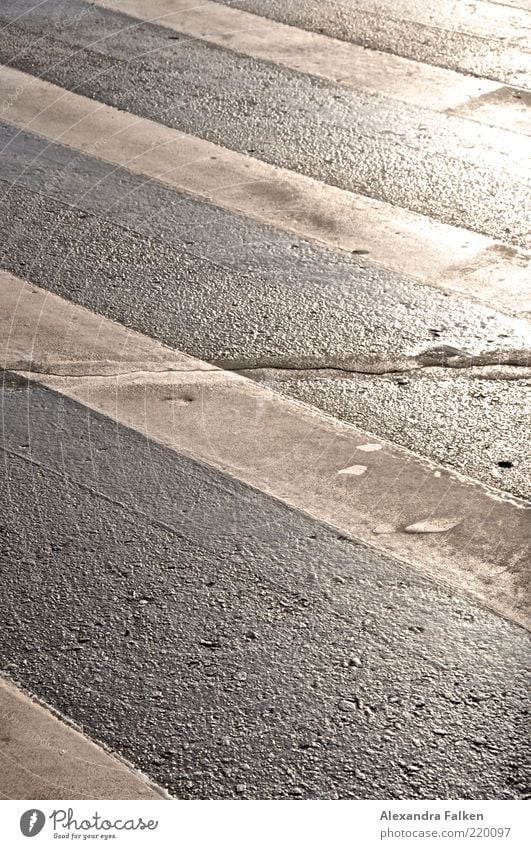 American zebra crossing Traffic infrastructure Street Zebra crossing Safety Structures and shapes Stripe Pedestrian crossing Tar Pavement Colour photo