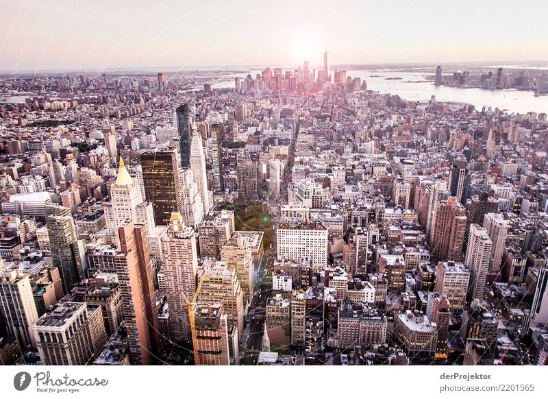 High above with a view in New York Central perspective Deep depth of field Sunlight Reflection Contrast Shadow Light Day Copy Space middle Copy Space right